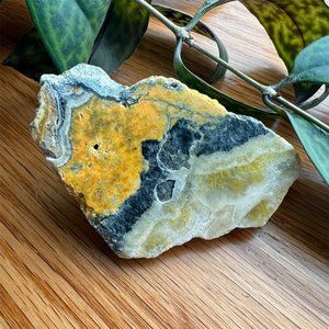 Bumblebee Jasper Crystal Freeform Raw Natural Polished on One Side witchy boho